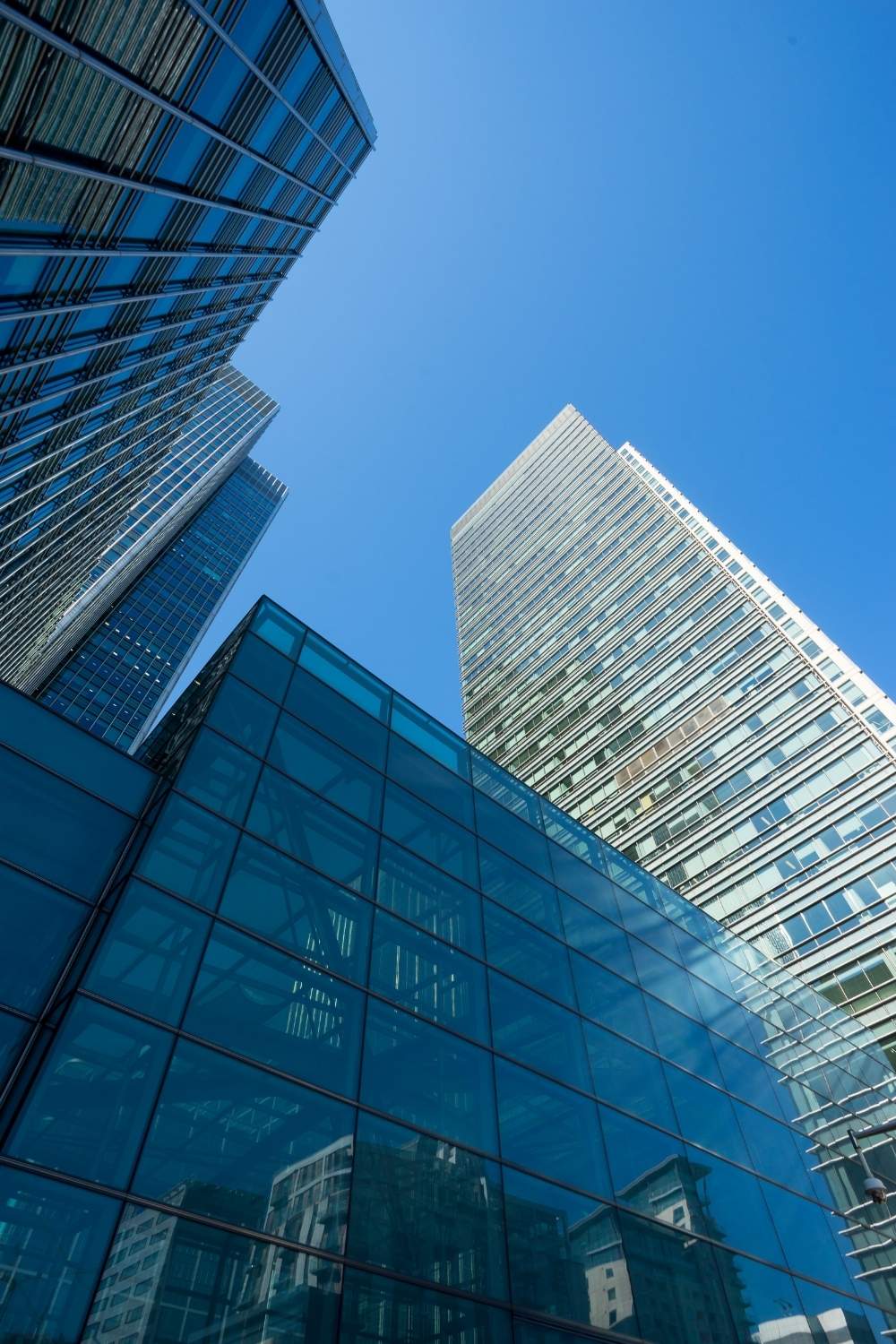 servicio de gobernanza organos de gobierno