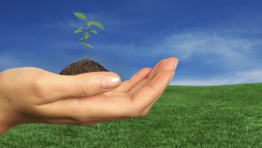 Captura de pantalla 2026 02 18 a la(s) 8.55.35 p.m.