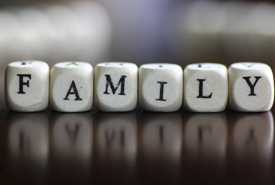 Captura de pantalla 2026 03 18 a la(s) 8.48.06 p.m.